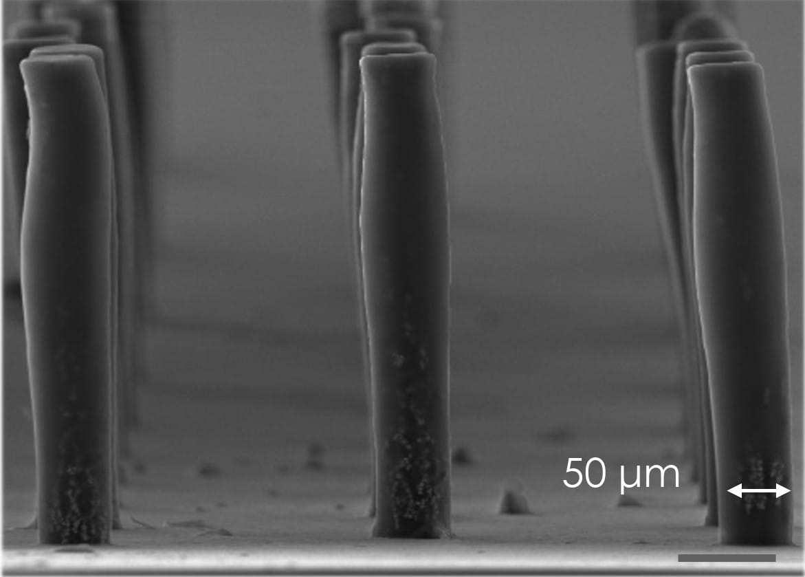 <strong>Afkijken van de natuur: ARTIC Technologies bouwt pomp met microhaartjes</strong>